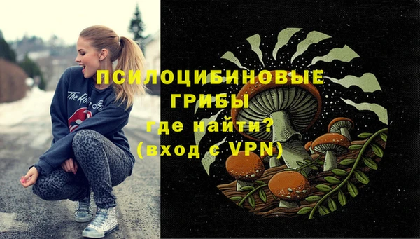 Альфа ПВП Абаза