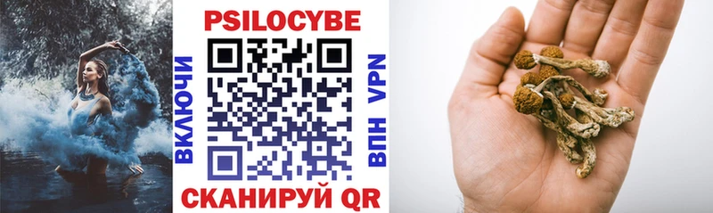 Галлюциногенные грибы мухоморы  площадка телеграм  Хасавюрт  сколько стоит 