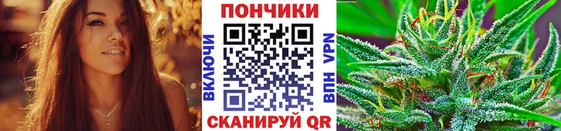 купить наркотик Хасавюрт Бошки марихуана сатива